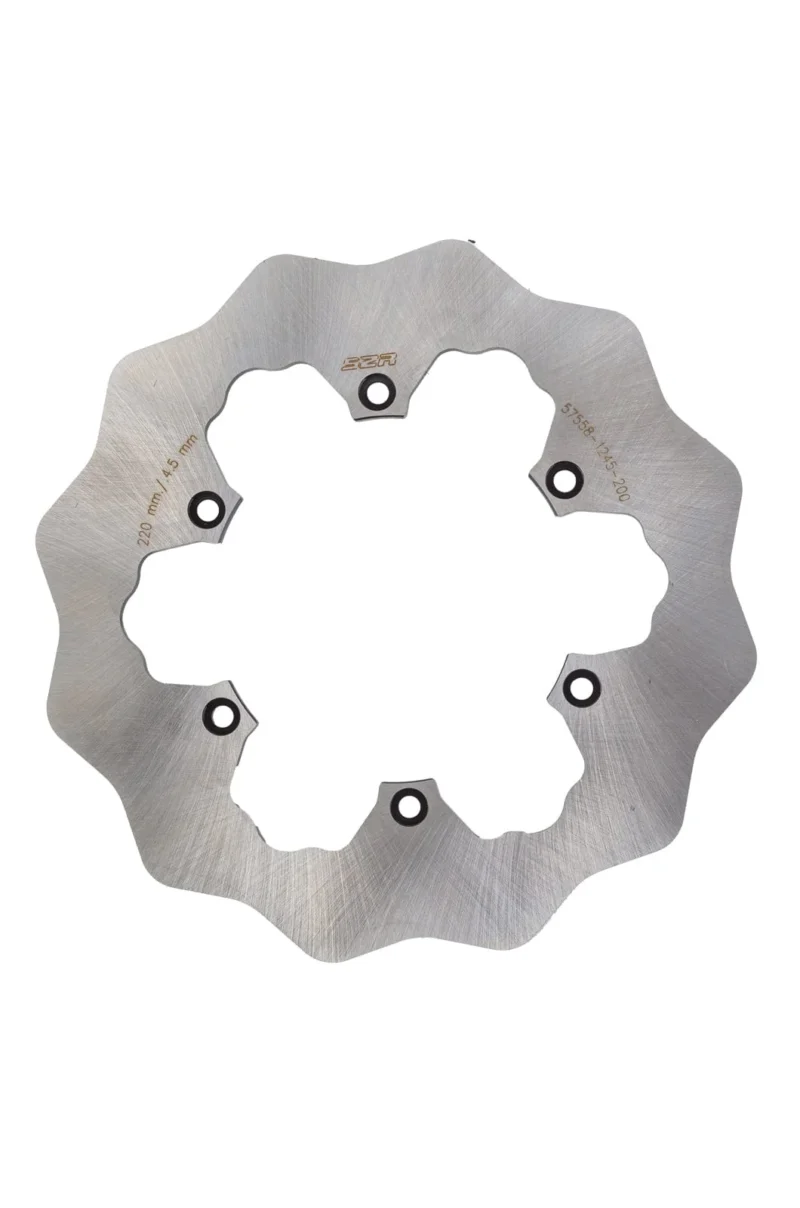 Rear Brake Disc 2024